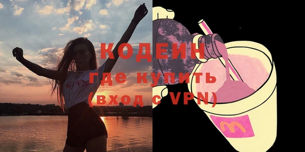 сатива Новозыбков