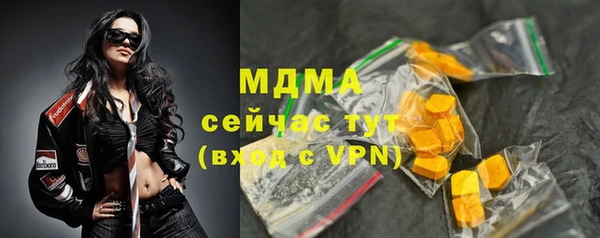 сатива Новозыбков
