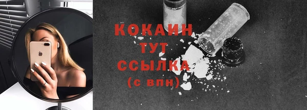 сатива Новозыбков