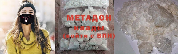 сатива Новозыбков