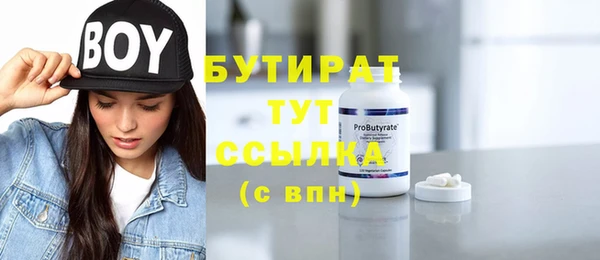 сатива Новозыбков