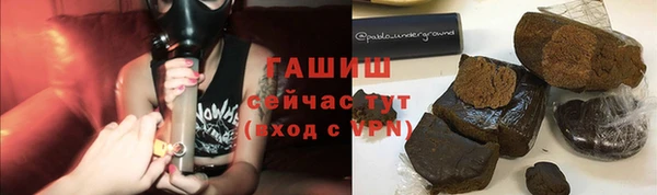 сатива Новозыбков