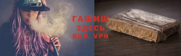 сатива Новозыбков