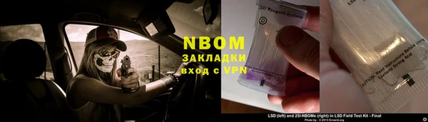 сатива Новозыбков
