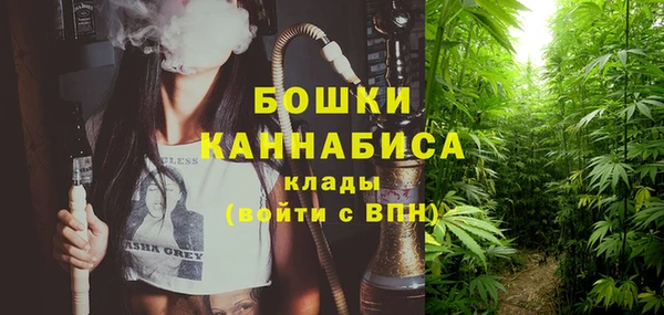 таблы Новодвинск
