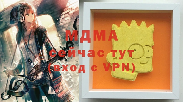 сатива Новозыбков