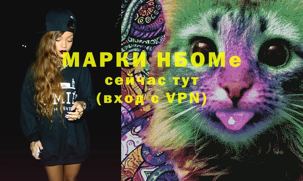 сатива Новозыбков