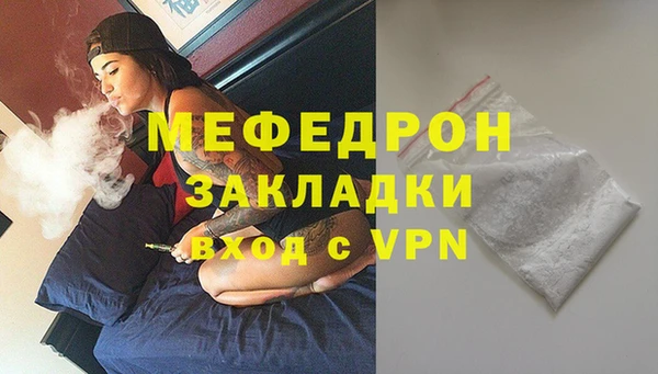 сатива Новозыбков