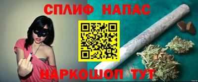 МДПВ Гусев