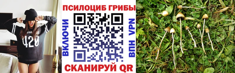 цены   Сарапул  Галлюциногенные грибы Magic Shrooms 