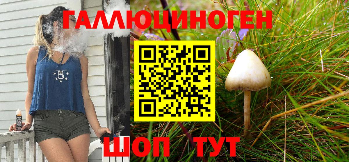 Галлюциногенные грибы Psilocybe Сарапул