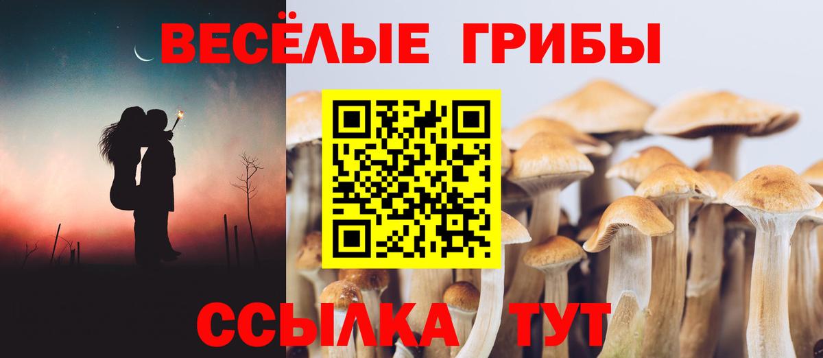 Галлюциногенные грибы MAGIC MUSHROOMS  Вход с VPN  Сарапул 